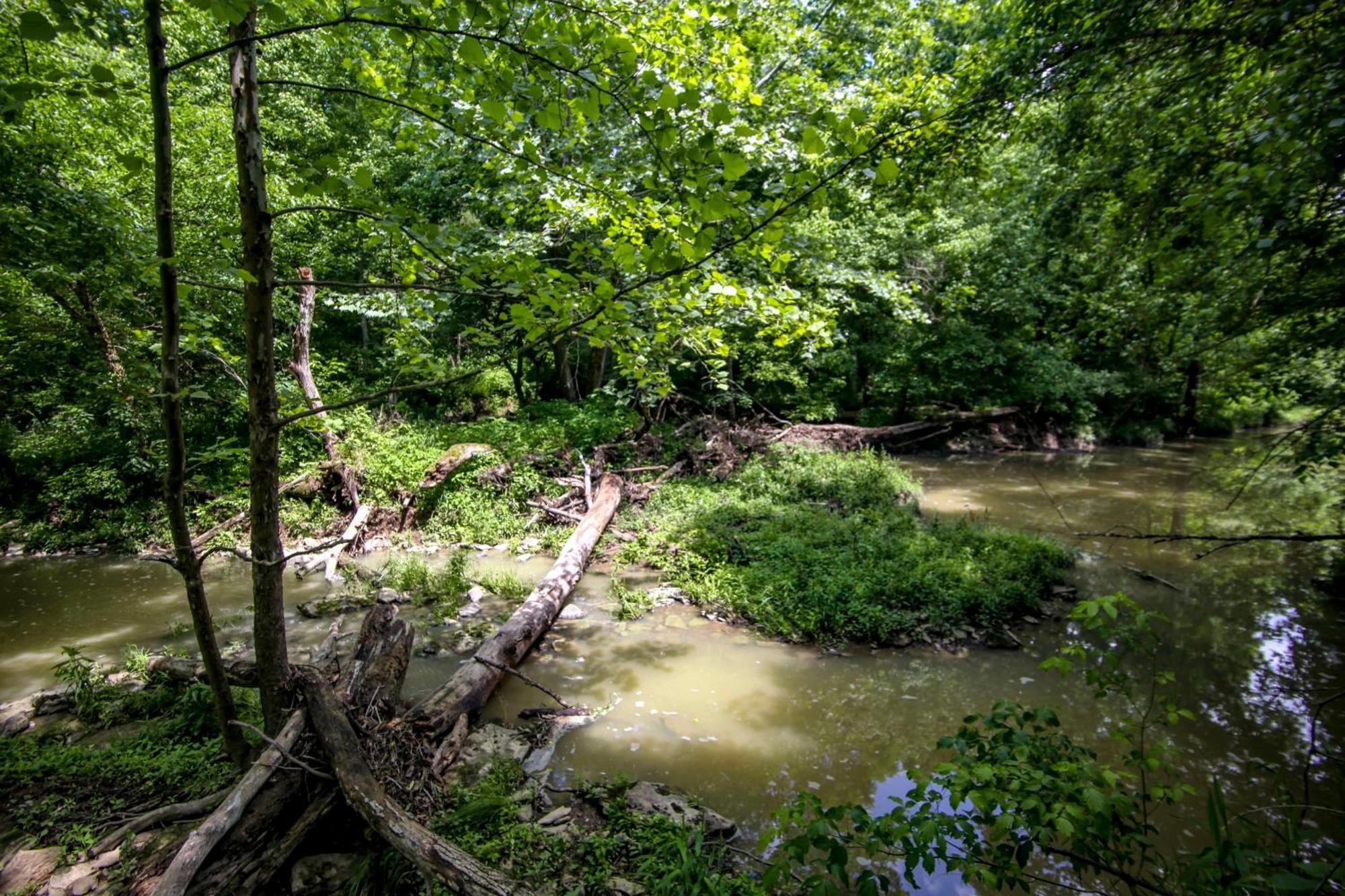 Вілла 80 Acre Retreat With Pool - Minutes To Ark - Sleeps 15 Вільямстаун Екстер'єр фото